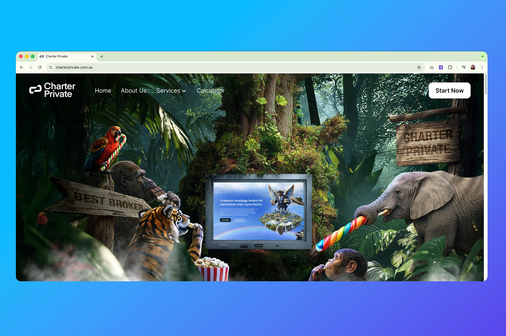 Website launch and going live